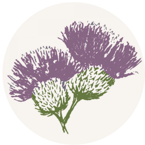 Thistle Design