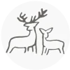 Deer Coasters