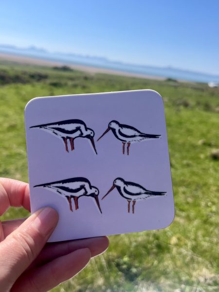 Oystercatchers Coasters