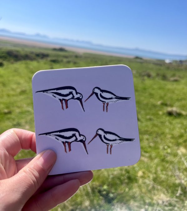 Oystercatchers Coasters