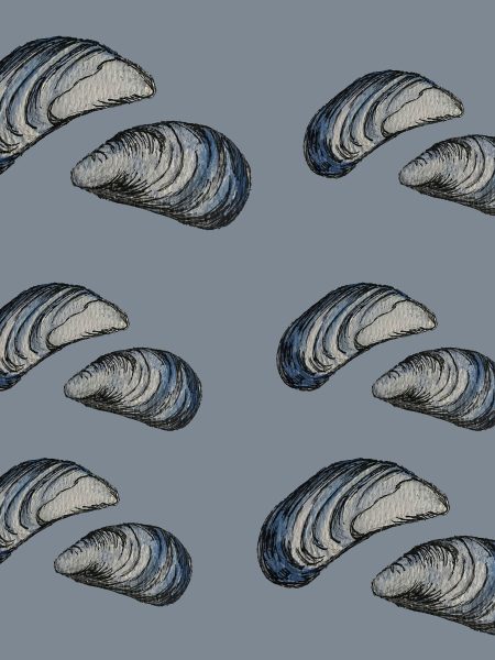 Mussels Wallpaper