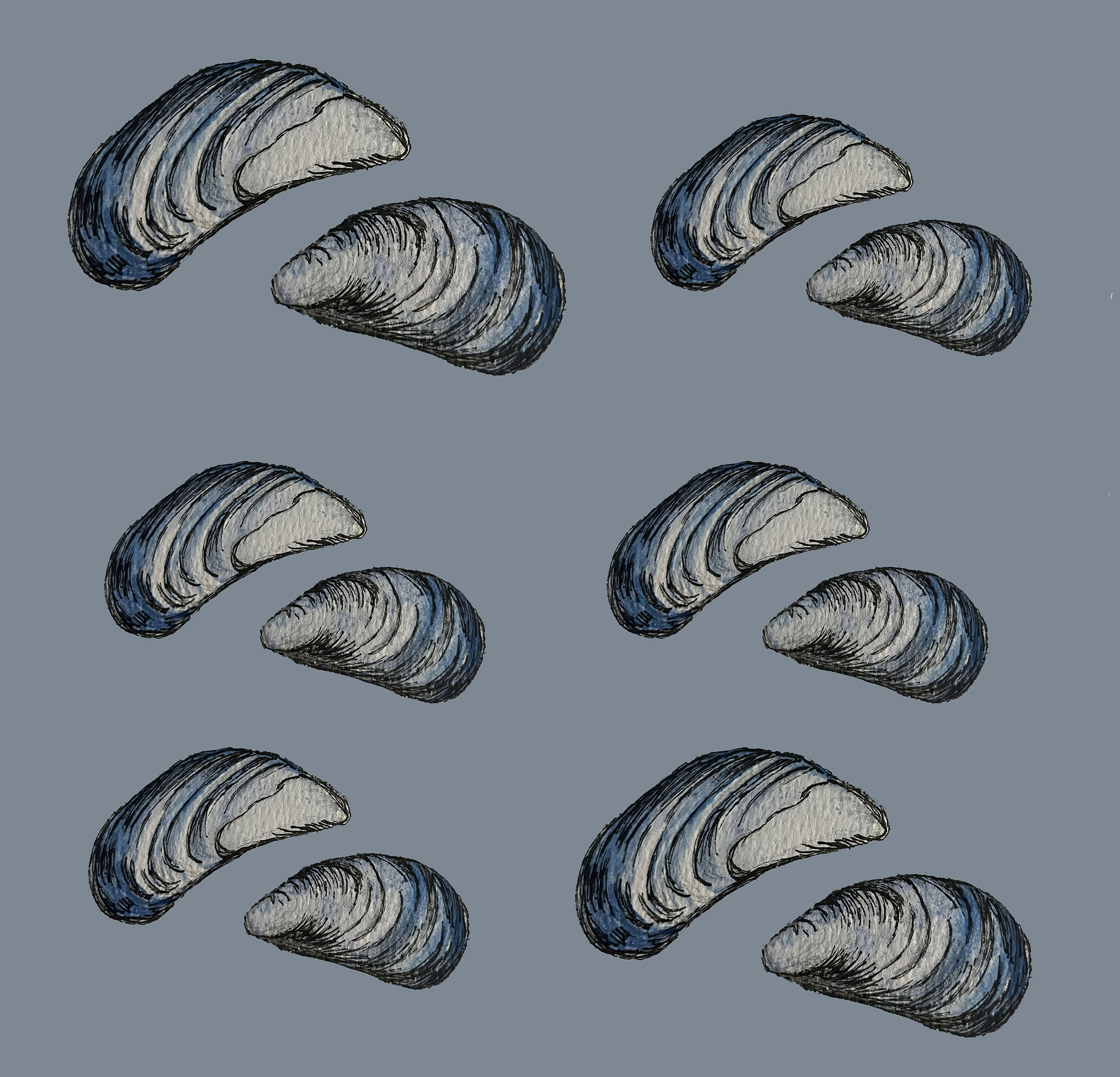 Mussels Wallpaper